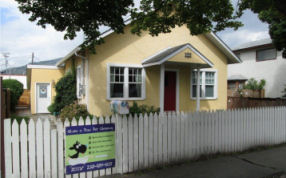 Grooming Salon, shake a paw dog grooming